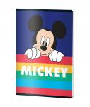 CAIET A5 48F DR MICKEY MOUSE...